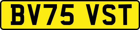 BV75VST
