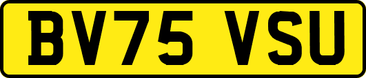 BV75VSU