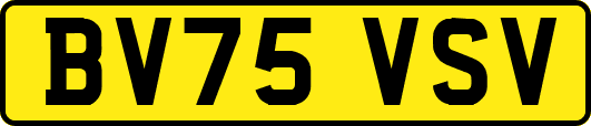 BV75VSV