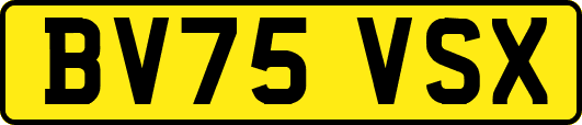BV75VSX