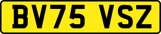 BV75VSZ