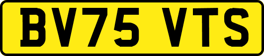 BV75VTS