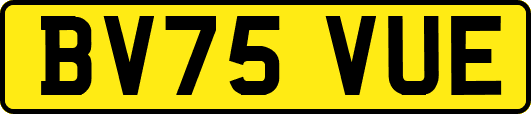 BV75VUE