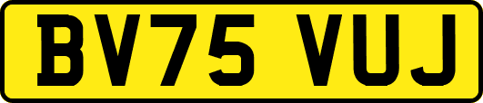 BV75VUJ