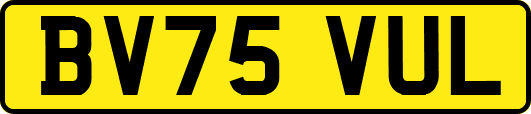 BV75VUL