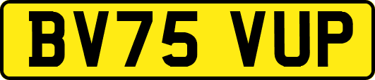 BV75VUP