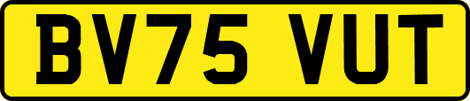 BV75VUT