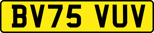 BV75VUV