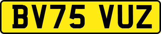 BV75VUZ