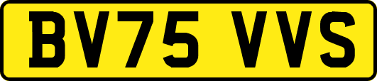 BV75VVS