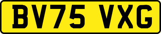 BV75VXG