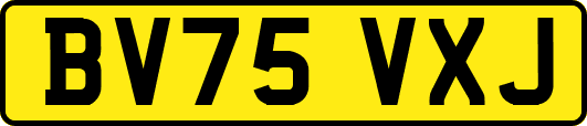 BV75VXJ