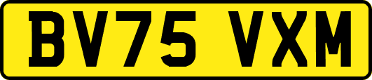 BV75VXM