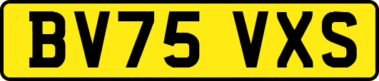 BV75VXS
