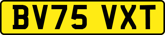 BV75VXT