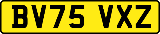 BV75VXZ