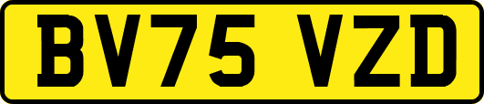 BV75VZD