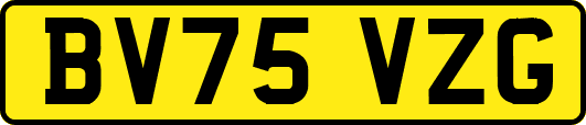 BV75VZG