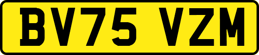 BV75VZM