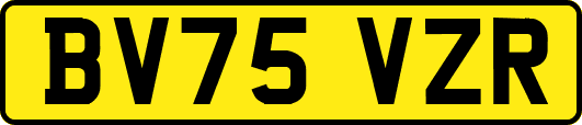 BV75VZR