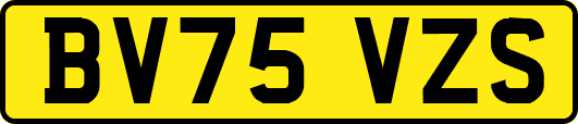BV75VZS