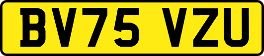 BV75VZU