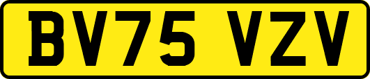 BV75VZV