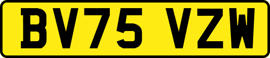 BV75VZW