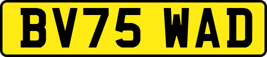 BV75WAD