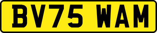 BV75WAM