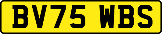 BV75WBS