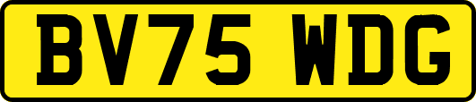 BV75WDG