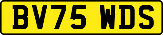 BV75WDS