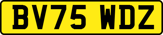 BV75WDZ