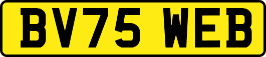 BV75WEB