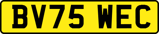 BV75WEC