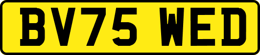 BV75WED