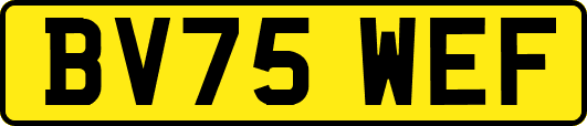 BV75WEF