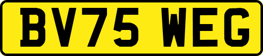 BV75WEG