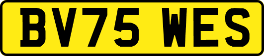 BV75WES