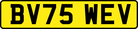 BV75WEV