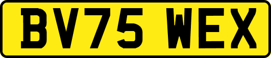 BV75WEX