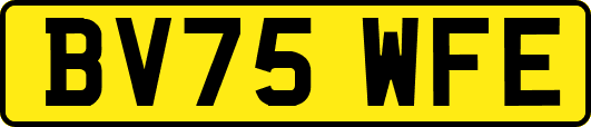BV75WFE