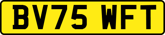 BV75WFT