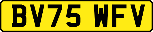 BV75WFV