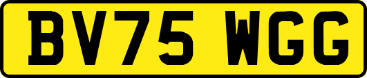 BV75WGG