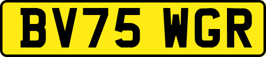 BV75WGR