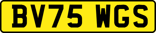BV75WGS