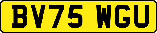 BV75WGU