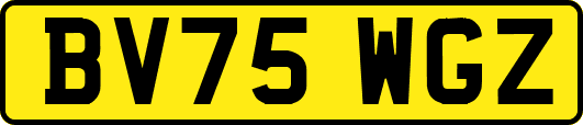 BV75WGZ